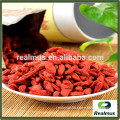 New season high quality health care NingXia goji berry